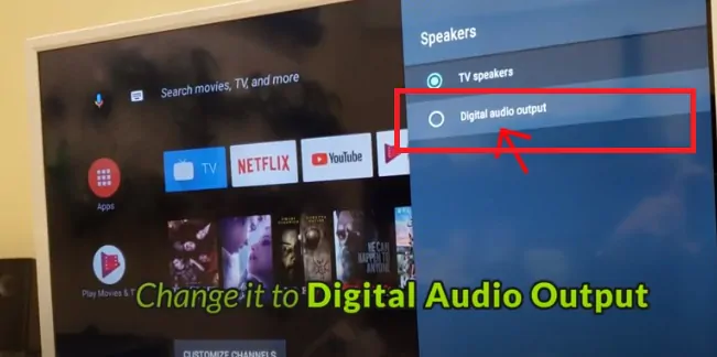 philips8.webp